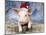 Piglet Looking over Fence Wearing Christmas-null-Mounted Photographic Print