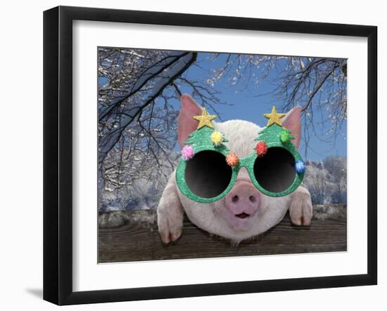 Piglet Looking over Fence Wearing Christmas-null-Framed Photographic Print