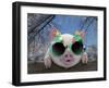 Piglet Looking over Fence Wearing Christmas-null-Framed Photographic Print