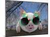 Piglet Looking over Fence Wearing Christmas-null-Mounted Photographic Print