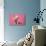 Piglet Sitting on Pink Spotty Blanket-null-Photographic Print displayed on a wall