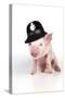 Piglet Sitting Wearing a Police Hat-null-Stretched Canvas