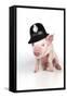 Piglet Sitting Wearing a Police Hat-null-Framed Stretched Canvas