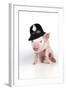 Piglet Sitting Wearing a Police Hat-null-Framed Photographic Print