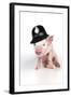 Piglet Sitting Wearing a Police Hat-null-Framed Photographic Print