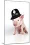 Piglet Sitting Wearing a Police Hat-null-Mounted Photographic Print