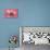 Piglets Standing in a Row on Pink Spotty Blanket-null-Photographic Print displayed on a wall