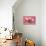 Piglets Standing in a Row on Pink Spotty Blanket-null-Photographic Print displayed on a wall