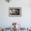 Piglets-Bjorn Svensson-Framed Premium Photographic Print displayed on a wall