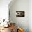 Piglets-Bjorn Svensson-Photographic Print displayed on a wall