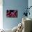 Pigmee Seahorse-Bernard Radvaner-Mounted Photographic Print displayed on a wall