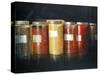 Pigment Jars-Lincoln Seligman-Stretched Canvas