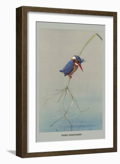 Pigmy Kingfisher-Louis Agassiz Fuertes-Framed Art Print