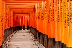 Fushimi Inari Taisha Shrine in Kyoto, Japan-pigprox-Mounted Photographic Print