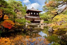 Fushimi Inari Taisha Shrine in Kyoto, Japan-pigprox-Mounted Photographic Print
