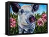 Pigs and Peonies-Kathryn Wronski-Framed Stretched Canvas