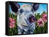 Pigs and Peonies-Kathryn Wronski-Framed Stretched Canvas