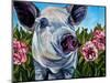 Pigs and Peonies-Kathryn Wronski-Mounted Art Print