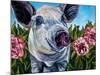 Pigs and Peonies-Kathryn Wronski-Mounted Art Print