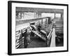 Pigs Arriving at the Chicago Stockyards to Be Converted into Pork Chops and Sausages-null-Framed Photographic Print