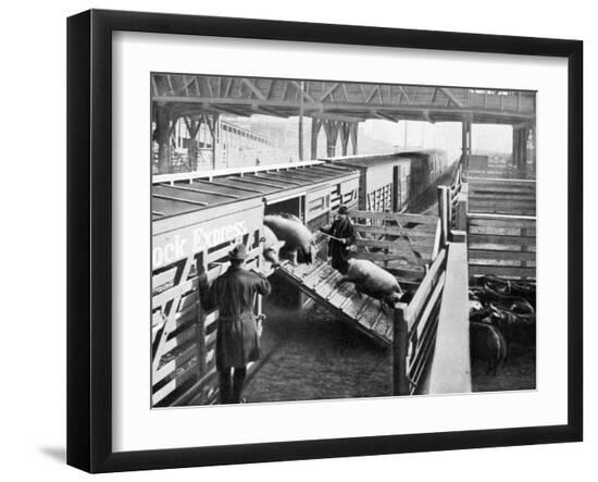 Premium Photographic Print, , large