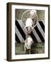 Pigs Compete the Obstacle Race at Pig Olympics Thursday April 14, 2005 in Shanghai, China-Eugene Hoshiko-Framed Photographic Print