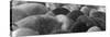 Pigs Crowded Together at a Swift Meatpacking Facility-Margaret Bourke-White-Stretched Canvas