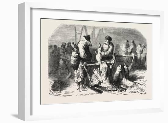 Pigs Dealers Petersburg. According to the Sketch of M. De Henriet. 1855.-null-Framed Giclee Print