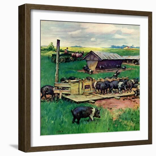 "Pigs Feeding,"September 1, 1946-Matt Clark-Framed Giclee Print