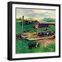 "Pigs Feeding,"September 1, 1946-Matt Clark-Framed Giclee Print