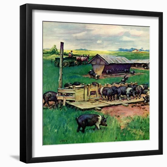 "Pigs Feeding,"September 1, 1946-Matt Clark-Framed Giclee Print