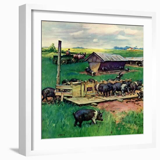 "Pigs Feeding,"September 1, 1946-Matt Clark-Framed Giclee Print