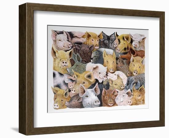 Pigs Galore-Pat Scott-Framed Giclee Print