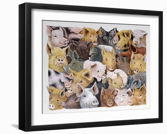 Pigs Galore-Pat Scott-Framed Giclee Print