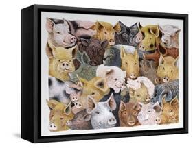 Pigs Galore-Pat Scott-Framed Stretched Canvas