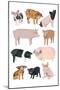 Pigs in Glasses-Hanna Melin-Mounted Art Print