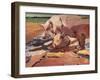 Pigs in Sunlight and Mud, 1981-Peter Wilson-Framed Giclee Print