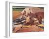 Pigs in Sunlight and Mud, 1981-Peter Wilson-Framed Giclee Print