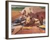 Pigs in Sunlight and Mud, 1981-Peter Wilson-Framed Giclee Print