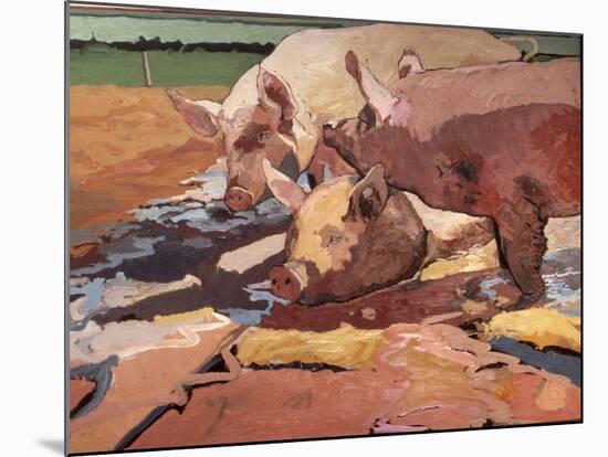 Pigs in Sunlight and Mud, 1981-Peter Wilson-Mounted Giclee Print