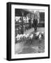 Pigs to Market-null-Framed Photographic Print