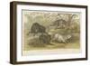 Pigs-null-Framed Giclee Print