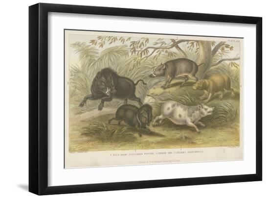 Premium Giclee Print, , large