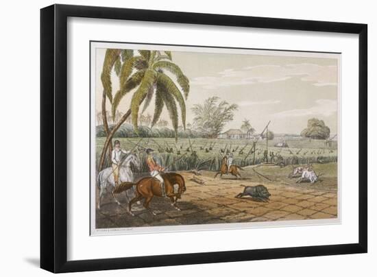 Pigsticking in India-Captain Thomas-Framed Art Print