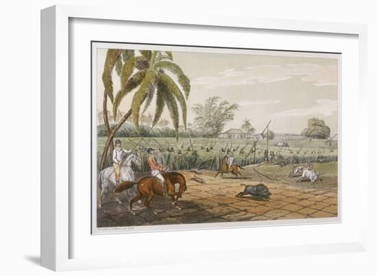 Pigsticking in India-Captain Thomas-Framed Art Print