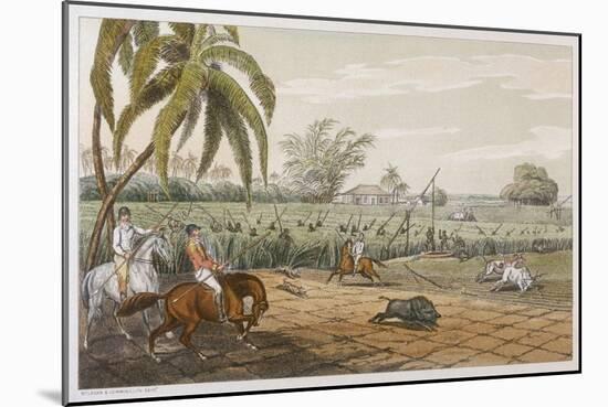 Pigsticking in India-Captain Thomas-Mounted Art Print