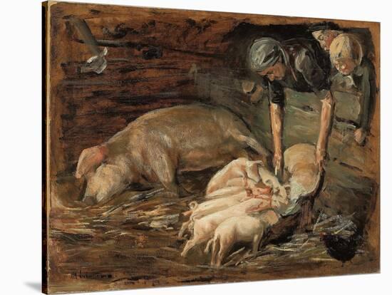 Pigsty, Nursery; Schweinekoben, Wochenstube, 1887 (Oil on Board)-Max Liebermann-Stretched Canvas