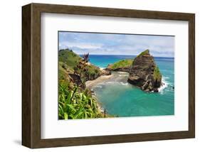Piha Beach Auckland Newzealand-null-Framed Art Print