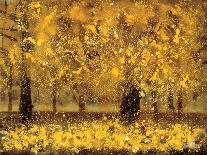 Golden Age-Pihua Hsu-Framed Stretched Canvas