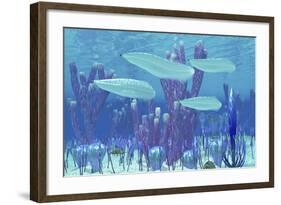 Pikaia Fish Swim Along with Trilobite Invetebrates During the Cambrian Period-Stocktrek Images-Framed Art Print